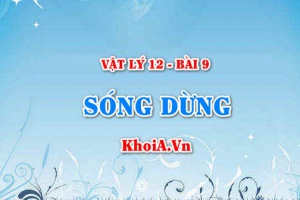 Điều kiện để có sóng dừng là gì? Số nút sóng, bụng sóng và bó sóng trên dây - Vật lý 12 bài 9